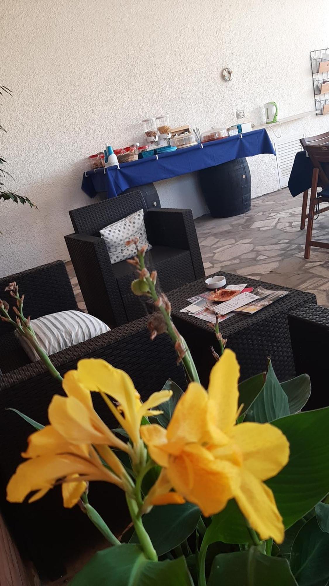 B&B Il Cedro ซัลเว ภายนอก รูปภาพ